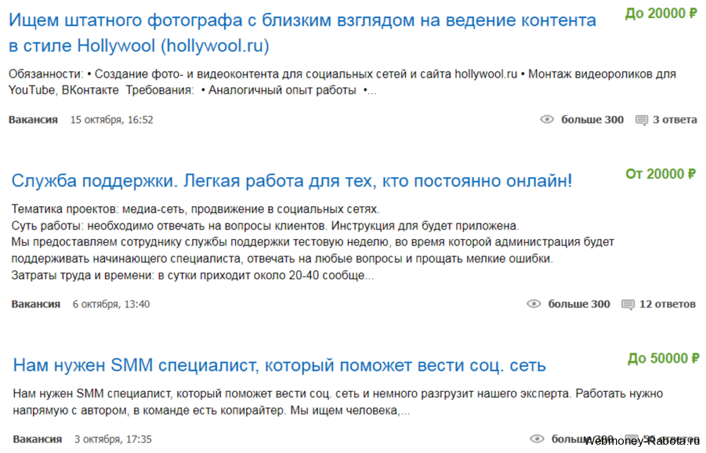 Работа в социальных сетях, обзор вакансий и сколько можно заработать