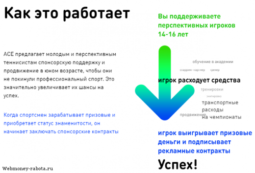 Инвестиции в ICO стартап Tokenstars