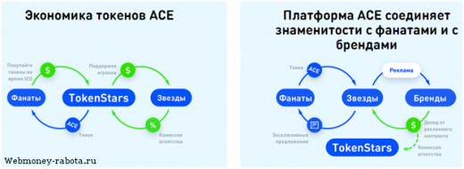 Инвестиции в ICO стартап Tokenstars