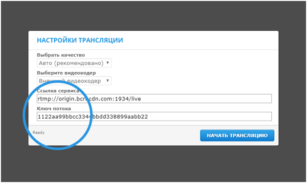 Настройка OBS для стрима вебкам модели 2026