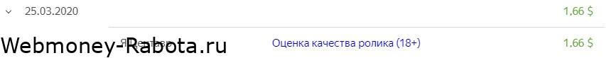 задание по оценки качества ролика