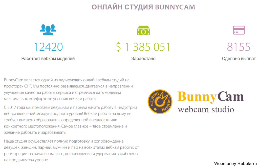 Bunnycam вебкам студия лидер в странах СНГ