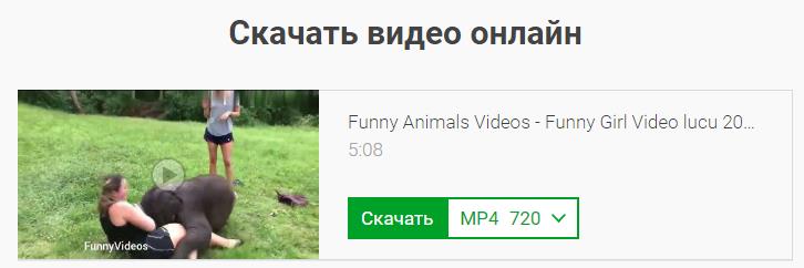 скачать видео с ютуба