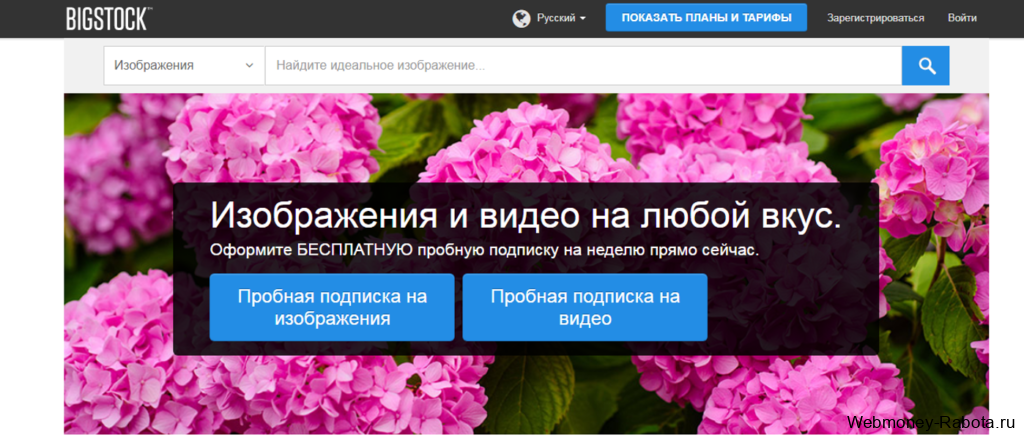 Bigstockphoto сервис