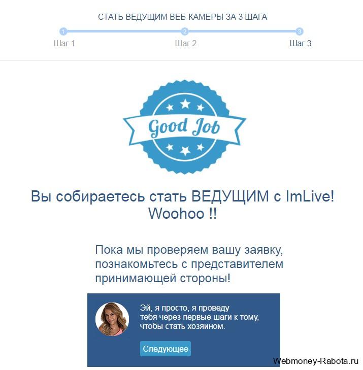 как начать стримить в imlive
