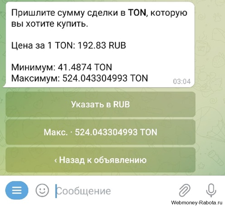 Как купить TON, оформить и оплатить подписку на TON Place