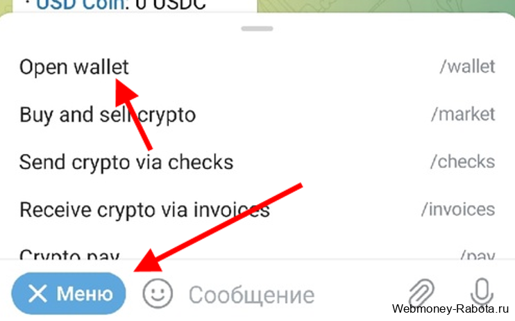 Как купить TON, оформить и оплатить подписку на TON Place