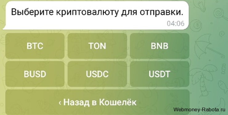 Как купить TON, оформить и оплатить подписку на TON Place
