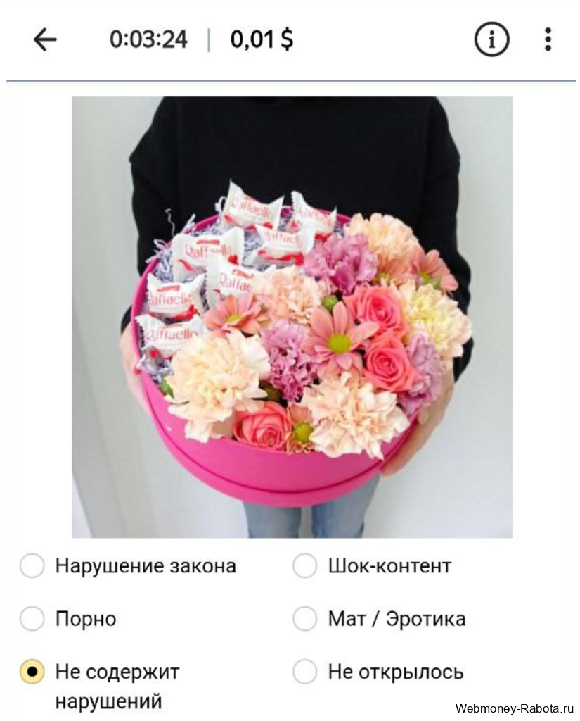 пример задания в яндекс толока