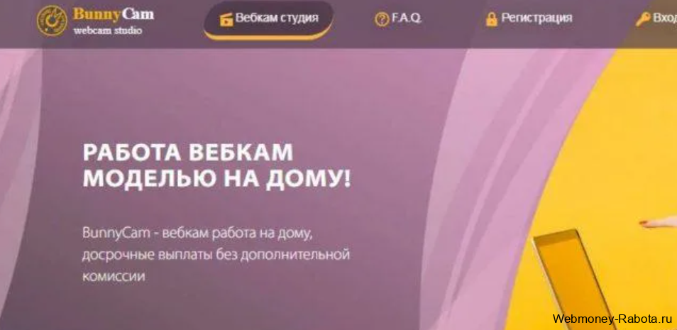 Bunnycam студия