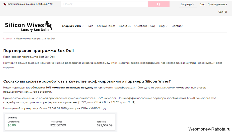 ТОП 35 сайтов для заработка на PayPal - где и как заработать деньги на PayPal