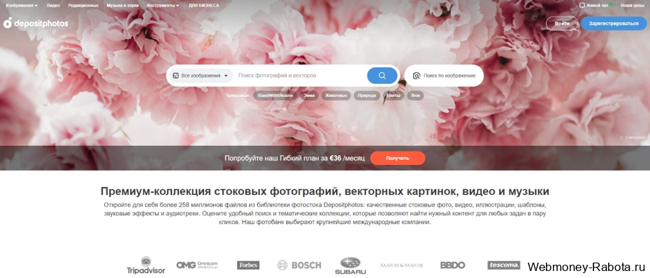 заработать paypal в Depositphotos
