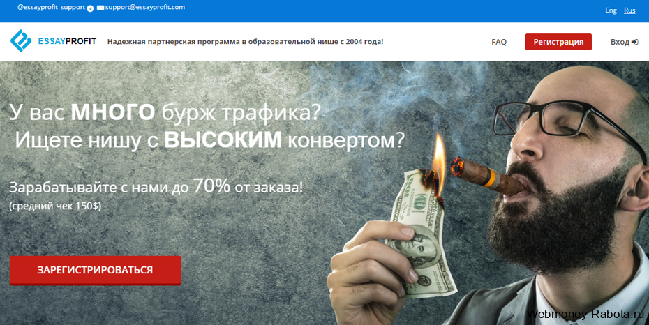 ТОП 35 сайтов для заработка на PayPal - где и как заработать деньги на PayPal