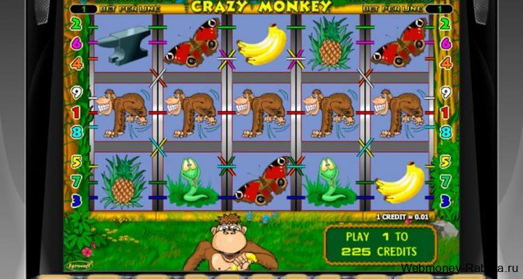 Crazy Monkey - легендарный игровой автомат про обезьянку и бонусный раунд