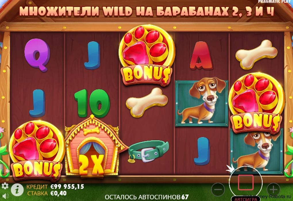 dog house бонус