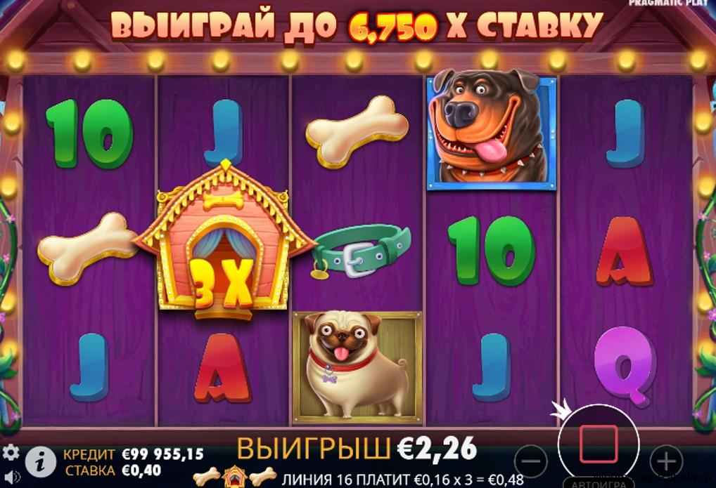 The Dog House - игровой автомат про собак с бонусами и фриспинами